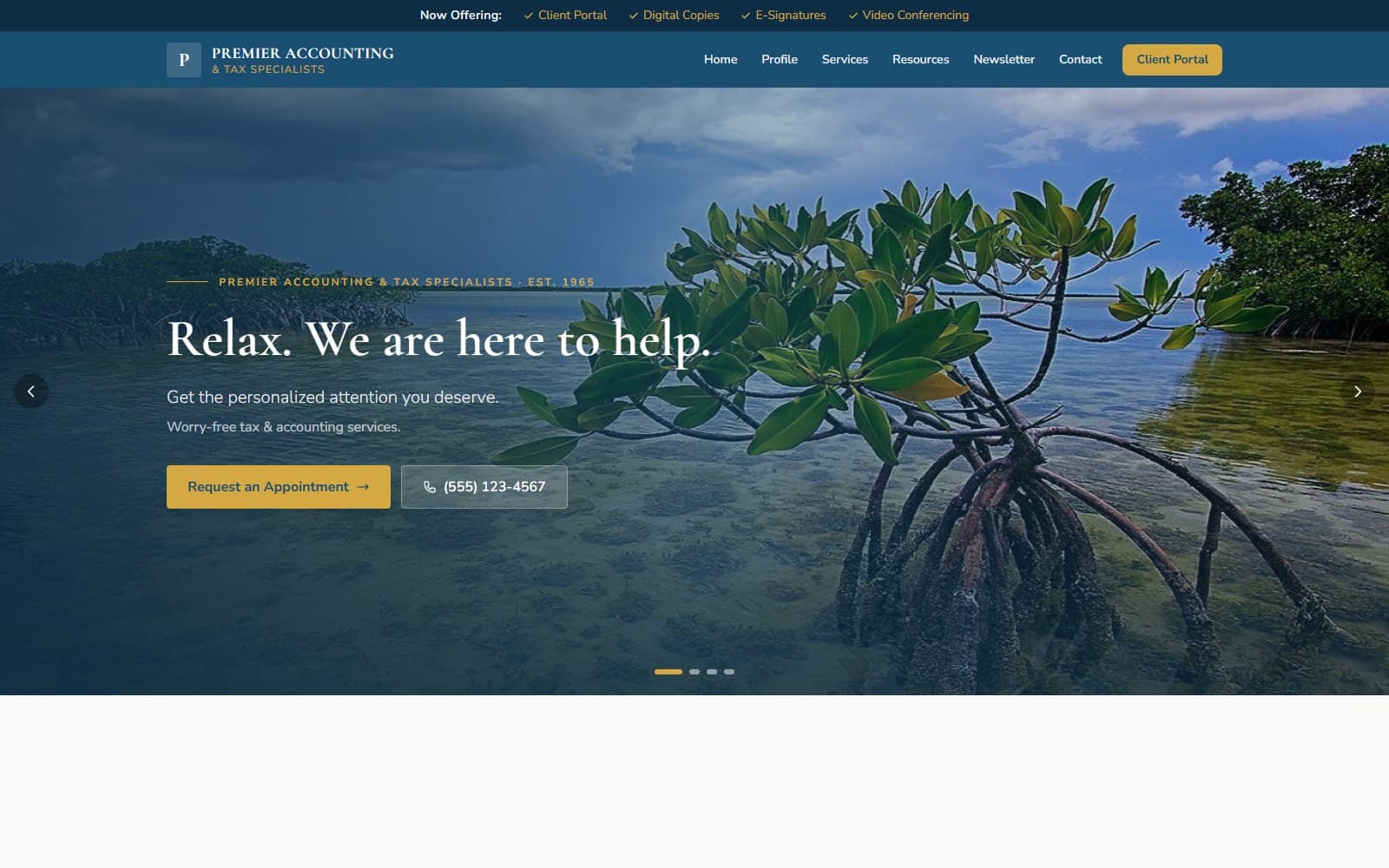 Premier Accounting & Tax — FINANCE / PROFESSIONAL website showcase